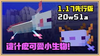 【Minecraft 1.17先行版】這什麼可愛小生物！還超有用🐟【20w51a】六角恐龍