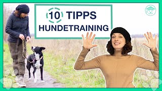 HUNDETRAINING: 10 wertvolle Tipps die du wissen solltest