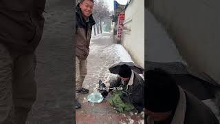 在这片土地上，生活的重量比雪更重，而这些普通人肩上的重量，它重到让眼泪变得奢侈，让微笑成为一场胜利。#阿富汗  #生活 #生活不会辜负每一个努力的人 #记录真实生活 #生活百般滋味你要笑着面对