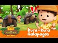 LOMBA KURA-KURA! Siapa yang akan MENANG?! 🐢 |  Kura-kura Galapagos | Leo Si Penjaga Alam | #minisode