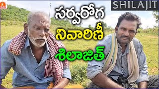 సర్వరోగ నివారిని శిలాజిత్ | Shilajit is the cure for all diseases | #KMC