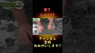 こんな捕り方するの!?#shorts【釣りよか切り抜き】