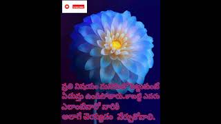 ప్రతి విషయం #telugu motivational shorts