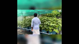 Sivakarthikeyan Garden tour... 💚💚💚