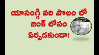 యాసంగ్గి వరి పొలం లో జింక్ లోపం ఏర్పడకుండా! || Zinc deficiency in Yasanggi paddy field