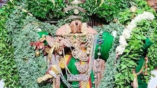 திருநெல்வேலி 🕉 செப்பறை🕉 ஸ்ரீஅழகிய கூத்தர் திருக்கோயில்🕉 ஆனித் திருவிழா🕉