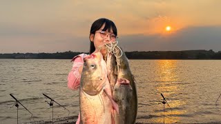 Thử Thách 24h Câu Cá & Cắm Trại Tại Đập Thiên Nhiên Đá Bàn Cá Ăn Giữa Đêm Khuya Fishing and Camping