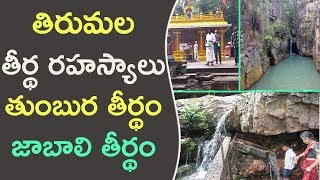 తిరుమల తీర్థ రహస్యాలు - తుంబుర, జాబాలి తీర్థం || Unknown Facts Of Theerthas In Tirupathi