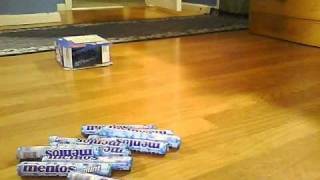 1000 Mentos?!?! (stop motion)