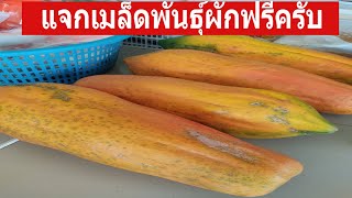 แจกเมล็ดพันธุ์ผักฟรี หลายอย่างครับ