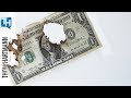 Can Democracy Co-exist With Billionaires?
