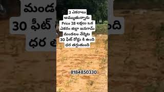 3 ఎకరాలు price 28 లక్షలు ఒక ఎకరం || జనగామ్ || #agriculture #landforsale #telangana #jangaondistrict