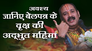 अवश्य जानिए  बेलपत्र के वृक्ष की अद्भुत महिमा  - Pujya #Pandit PradeepJi Mishra #Katha2021