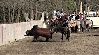 coleadero rancho los cuates  02-27-2021