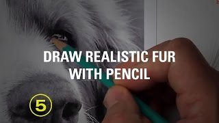 The #1 Reason People Are Afraid to Draw Animals...