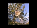 Joey Lacroix - Summer Blaze feat Renn Washington (Original Mix)