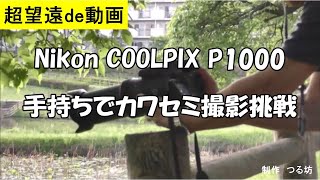 Nikon COOLPIX P1000でカワセミ手持ち撮影