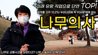 미래유망직업 나무의사의 모든 것 총정리 연봉, 시험, 자격증, 난이도, 비전