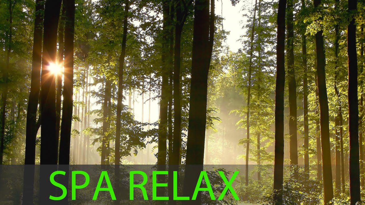 Relaxing Spa Music, Stress Relief Music, Relaxation Music, Sleep Music ...