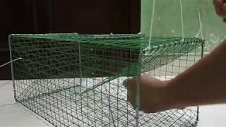 Cách làm bẫy và bẫy Cua biển (How to make Sea crab traps)