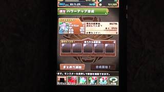 パズドラ　パールヴァティースキル上げ　衝撃のラスト！