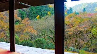 高山寺 京都 世界遺産/ Kouzan-ji Temple Kyoto World Heritage