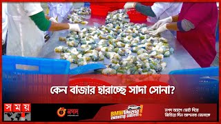 রুগ্ন শিল্পের পথে এগোচ্ছে চিংড়ি | Shrimp Export | Khulna | Somoy TV