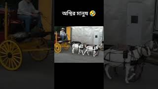 এদের মতো ইঞ্জিনিয়ারই তো দরকার #funny #comedy 🤣