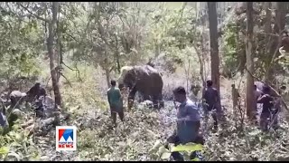 വയനാട്ടില്‍ കൊലയാളി ആനയ്ക്ക് റേഡിയോ കോളര്‍ ഘടിപ്പിച്ചു: കുറിപ്പ്, വിഡിയോ | Elephant | Radio Collar |