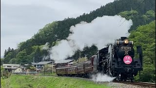 SLパレオエクスプレス(芝桜HM) 白久〜三峰口