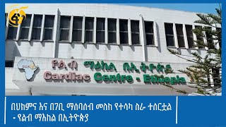 በህክምና እና በገቢ ማሰባሰብ መስክ የተሳካ ስራ ተሰርቷል- የልብ ማእከል በኢትዮጵያ