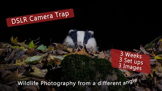 DSLR Camera trap - 3 weeks, 3 set ups, 3 images.