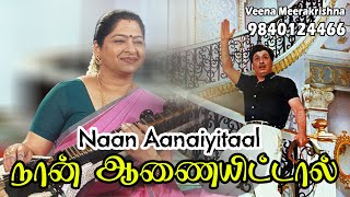 நான் ஆணையிட்டால் | Naan Aanaiyitaal | MGR | எம். ஜி. ஆர - film Instrumental by Veena Meerakrishna