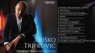 Dusko Trifkovic - 10 - Greh - ( Official Audio 2019 )