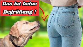 Hunde und das Schnüffeln am Hinterteil: Der wahre (und seltsame) Grund hinter diesem Verhalten!