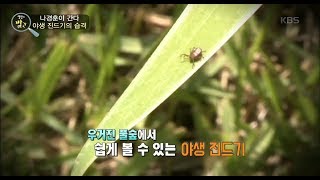 생활의 발견 - 나경훈이 간다 - 야생 진드기의 습격.20170829