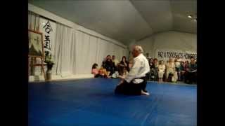 Luis Guz - XXIV Encuentro Nacional de Aikido 2013