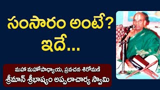 సంసారం అంటే? ఇదే... | Sribhashyam Appalacharyulu | Ramayanam | Kopparapu Kavulu