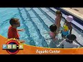 Aquatic Complex | Virtual Field Trip | KidVision Pre-K