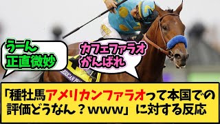 【競馬】「種牡馬アメリカンファラオって本国での評価どうなん？ｗｗｗ」に対する反応【反応集】