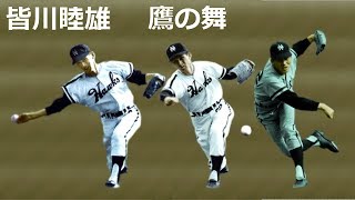 皆川睦雄 前へ飛び出しながら,逆手でシュッと突く Pitching Mechanics Slow Motion