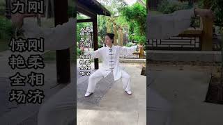 Tai Chi | 柔中带刚  刚柔相济太极发力  惊艳全场 #taichi #kungfu #taichiquan #功夫 #太极 #martialarts #wushu #taiji #太极拳