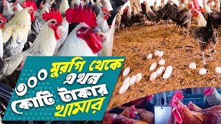 ৩০০ ফাউমি মুরগি থেকে কোটি টাকার খামার গড়েছে গিয়াস উদ্দিন! মুরগি পালন পদ্ধতি ২০২৪ |Faumi murgi khamar