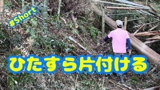 田舎不動産は、ひたすら片付ける！千葉県長柄町の荒れた竹林の再活用！切っては捨てて。捨てては、切るの繰り返し！サスティナブルな環境を作るぞ！