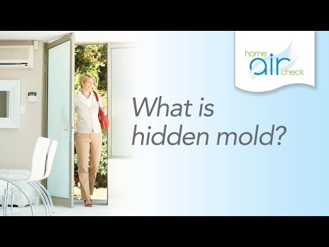 What Is Hidden Mold? - YouTube