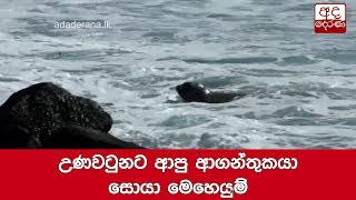 උණවටුනට ආපු ආගන්තුකයා සොයා මෙහෙයුම්