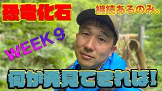 【恐竜】《WEEK９》もうとにかく継続あるのみ。田舎で楽しみたい人、ロマンを求めてる人必見！むかわ町穂別で、恐竜化石を探し続ける。白亜紀後期カンパニアンの地層へlet's go！＃恐竜＃むかわ町穂別