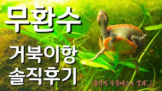 물 한번 안갈아준 어항과 거북이의 변화(수질테스트)[원스팜]