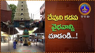 దేవుని కడప వైభవాన్ని చూడండి...! || SVBC TTD