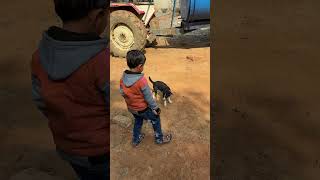 Kutta Ka Sath Chhotu Dekho Kaise majak kar raha hai #new #trending #hindi #shorts